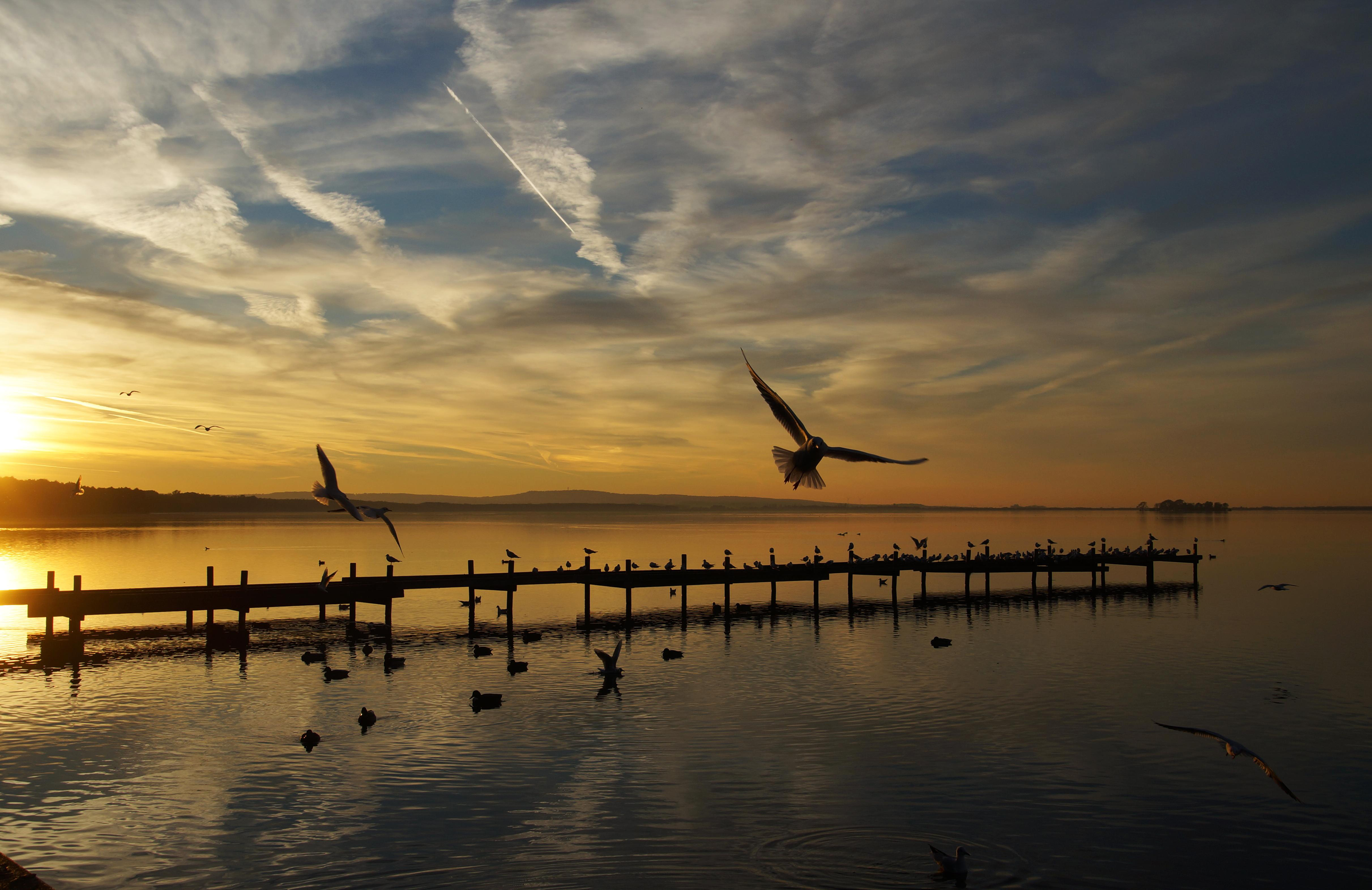 Kalender rund ums Steinhuder Meer